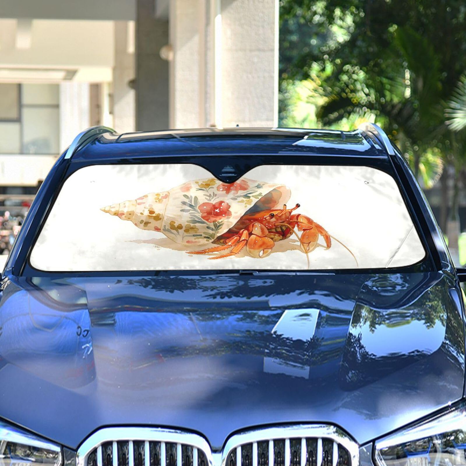 Amazon.com: PYHZRYMX Windshield Sunshade Hermit Crab Art Foldable